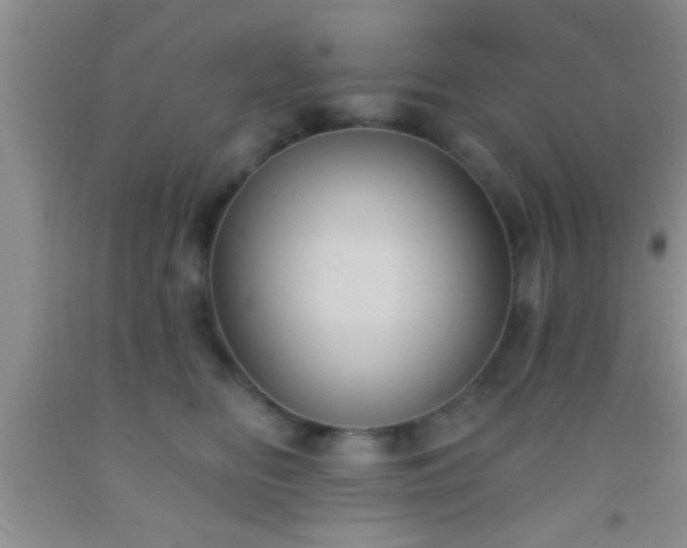 X0000092110518200709191331