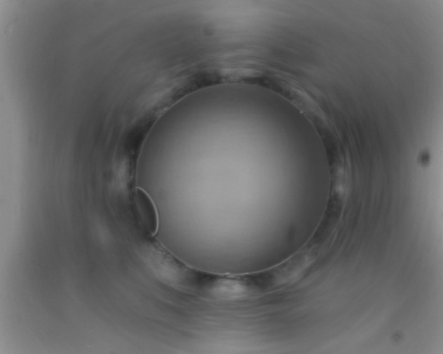 X0000092110519200709191331