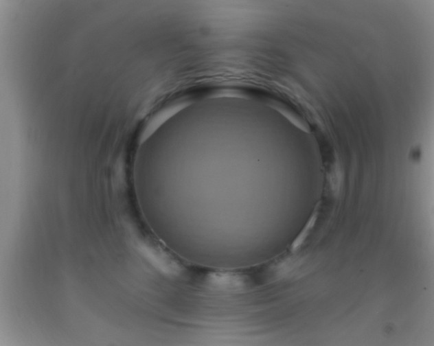 X0000092110520200709191331