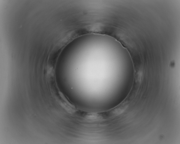 X0000092110521200709191331