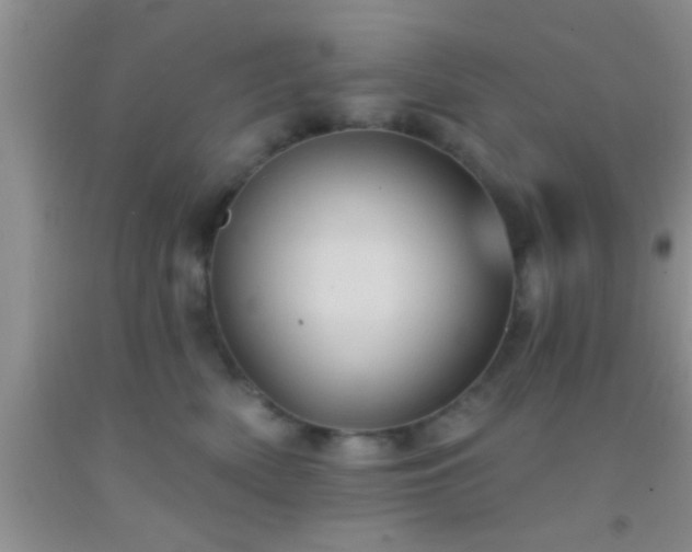 X0000092110522200709191330