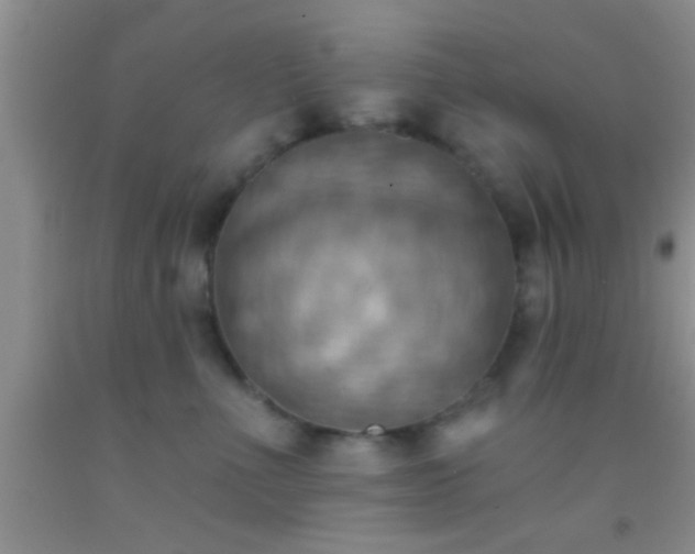 X0000092110523200709191330