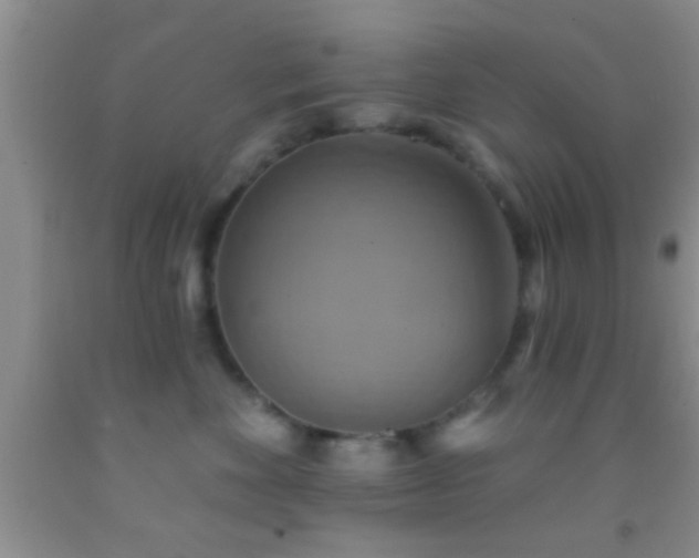 X0000092110524200709191330