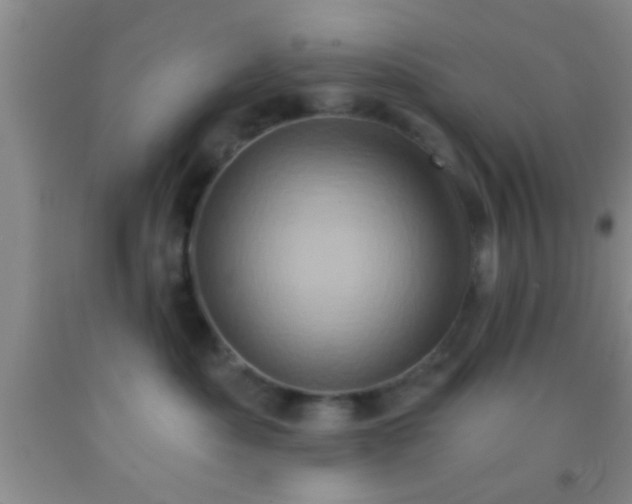 X0000092110525200709191330