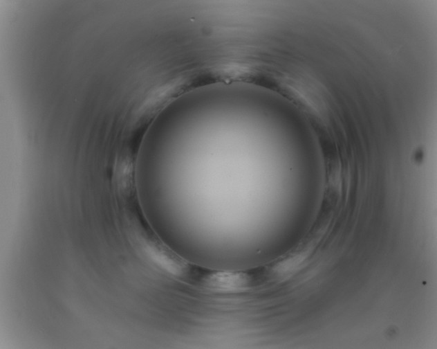 X0000092110526200709191330