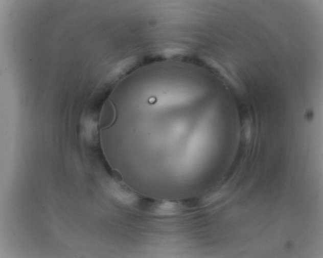 X0000092110527200709191330