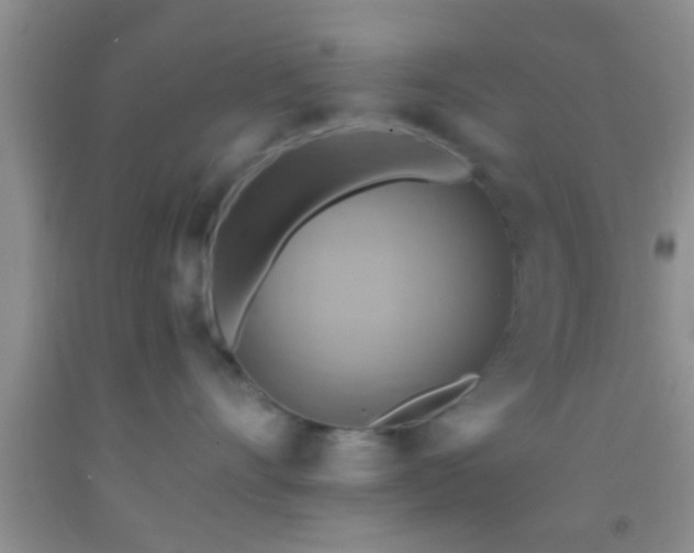 X0000092110528200709191330