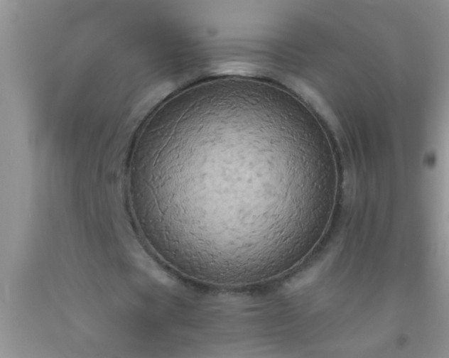 X0000092110529200709191330