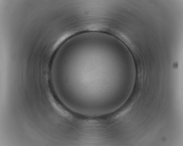 X0000092110530200709191330