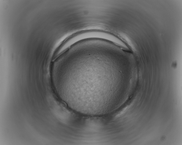 X0000092110532200709191330