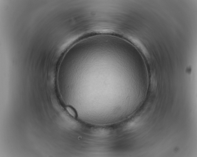 X0000092110533200709191330