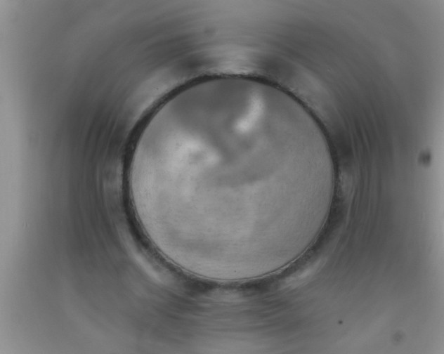 X0000092110534200709191330