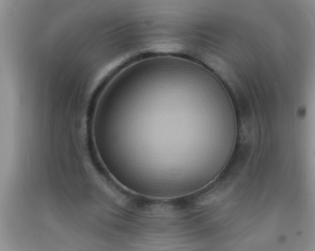 X0000092110535200709191330