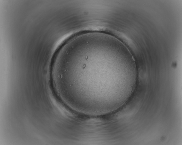 X0000092110536200709191330