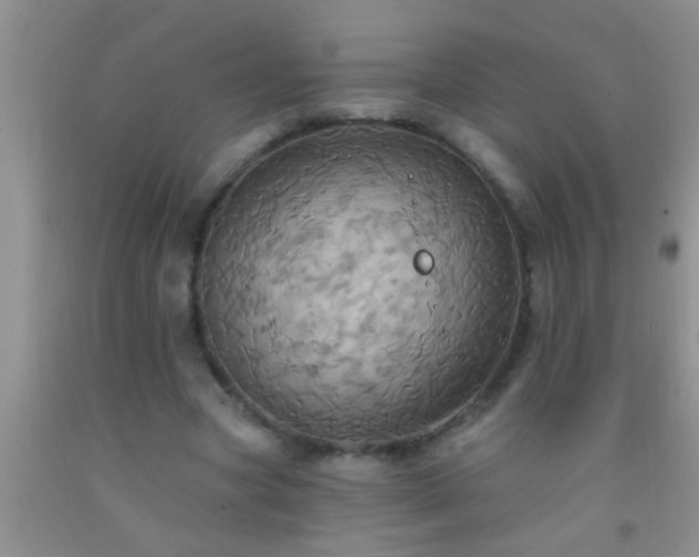 X0000092110537200709191330