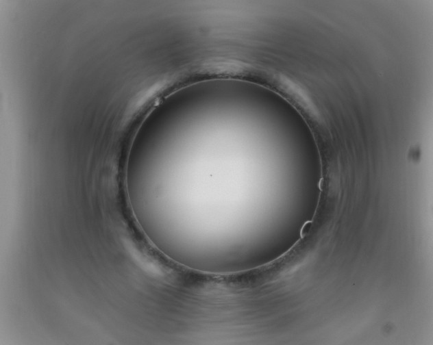 X0000092110538200709191330