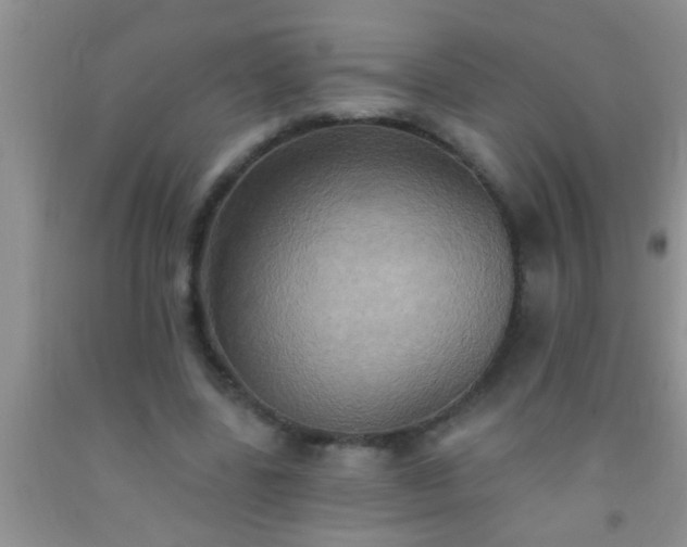 X0000092110539200709191330