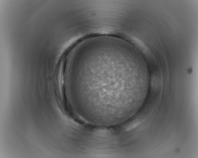 X0000092110540200709191330