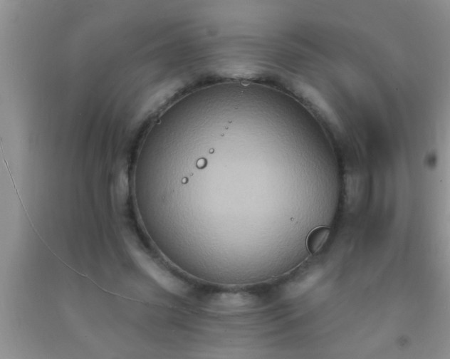 X0000092110541200709191330