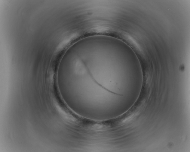 X0000092110542200709191330