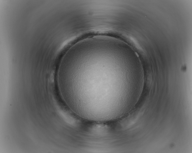 X0000092110543200709191330