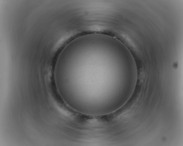 X0000092110544200709191330