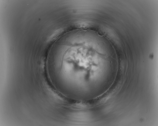 X0000092110545200709191330