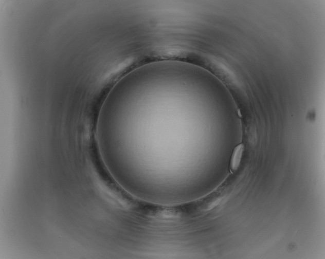 X0000092110546200709191330