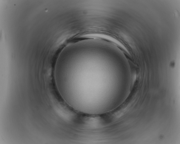 X0000092110548200709191330