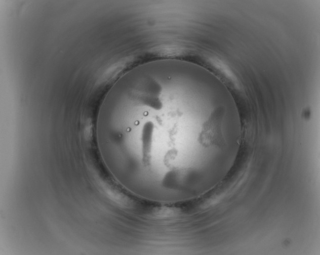 X0000092110549200709191330