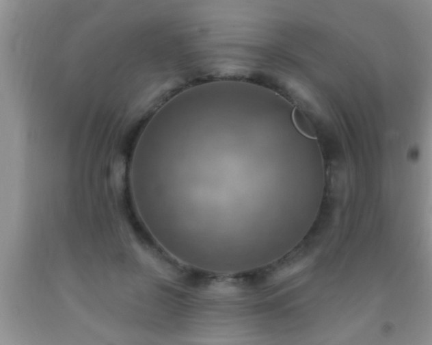 X0000092110550200709191330