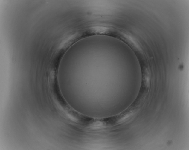 X0000092110551200709191330