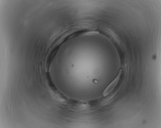 X0000092110552200709191330