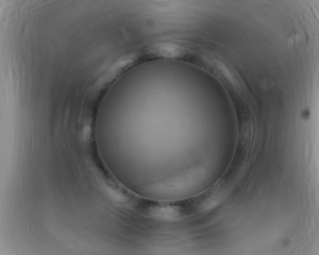 X0000092110553200709191330