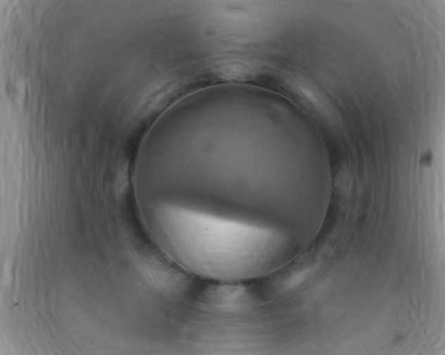 X0000092110554200709191330