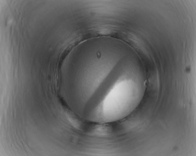 X0000092110555200709191330