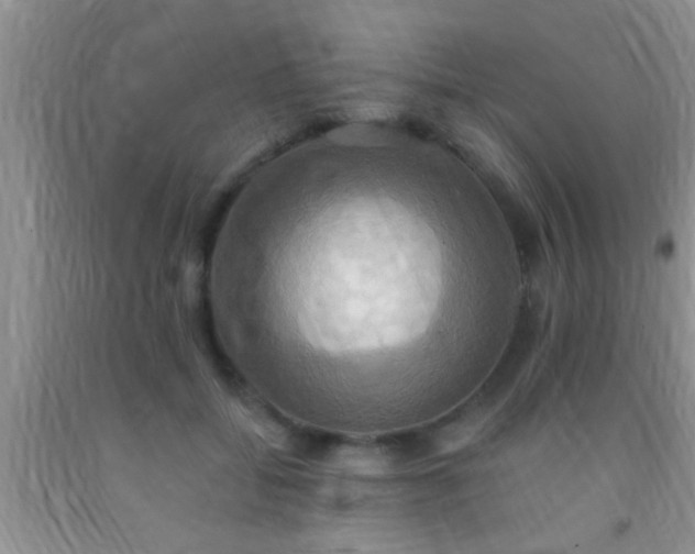 X0000092110556200709191330