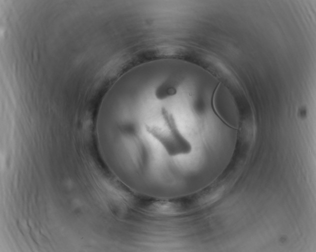 X0000092110557200709191330