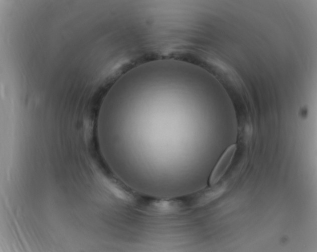 X0000092110558200709191330