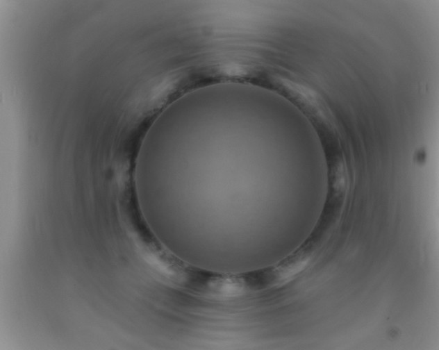 X0000092110559200709191330