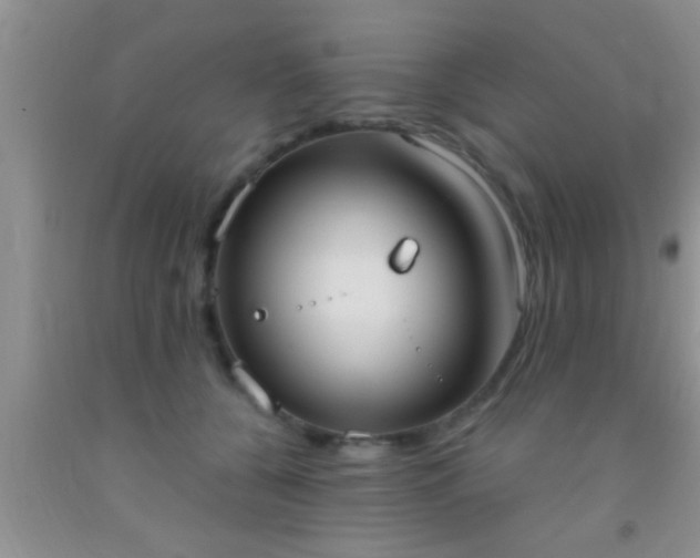 X0000092110560200709191330