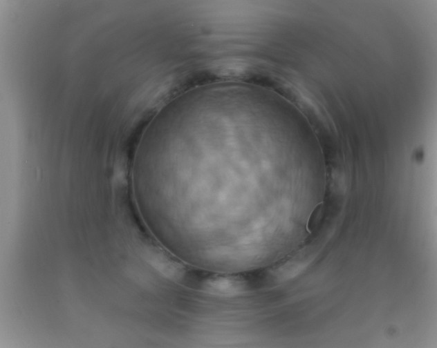 X0000092110561200709191330