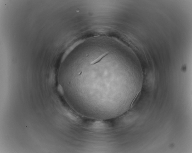 X0000092110562200709191330