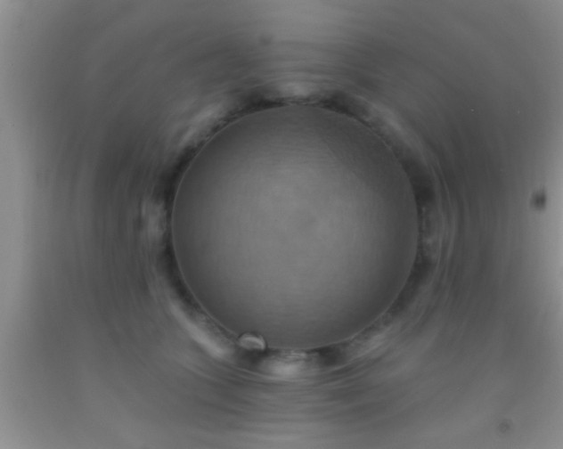 X0000092110563200709191330