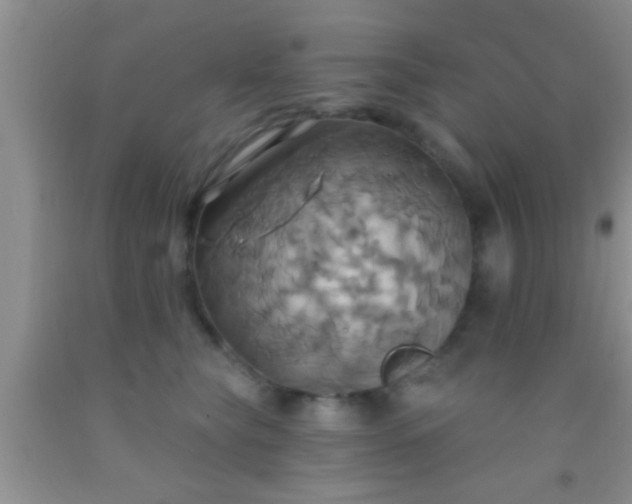 X0000092110565200709191330