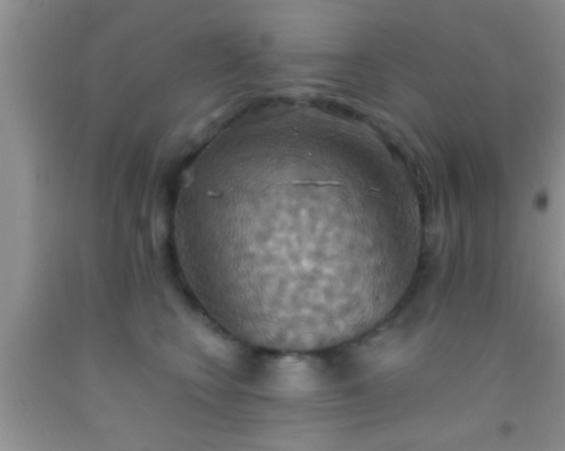 X0000092110566200709191330