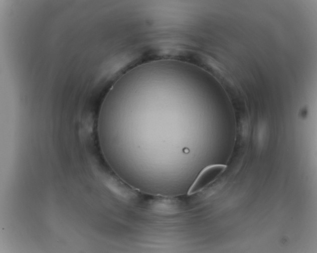 X0000092110567200709191330