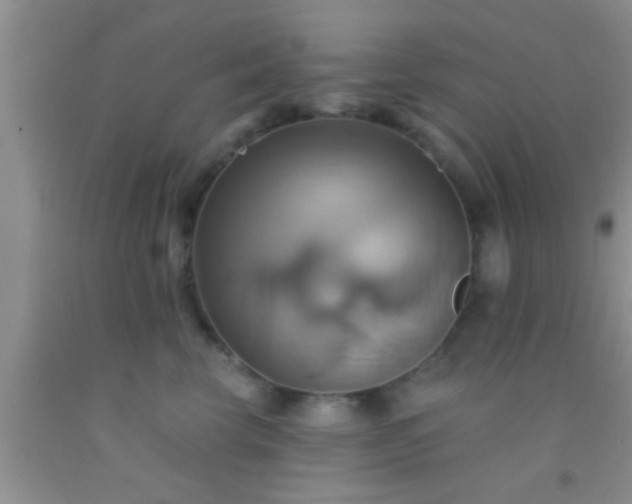 X0000092110569200709191330