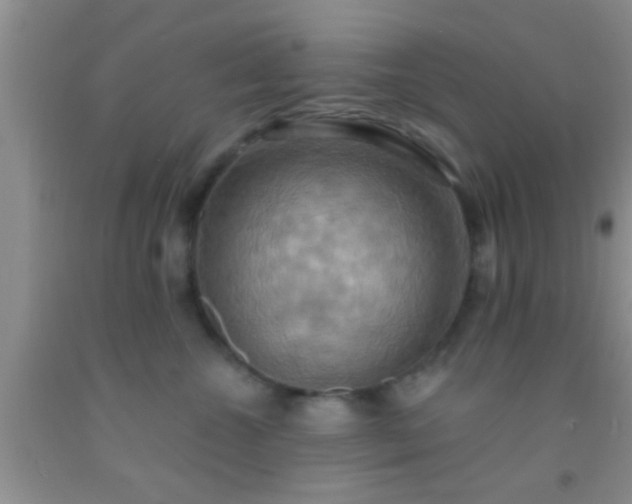 X0000092110572200709191330