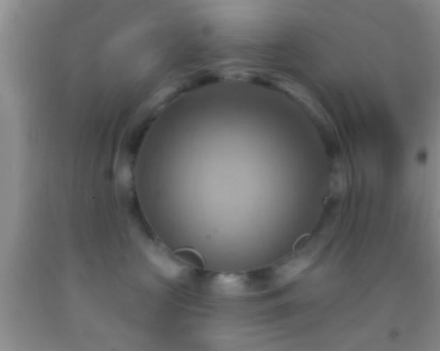 X0000092110573200709191330